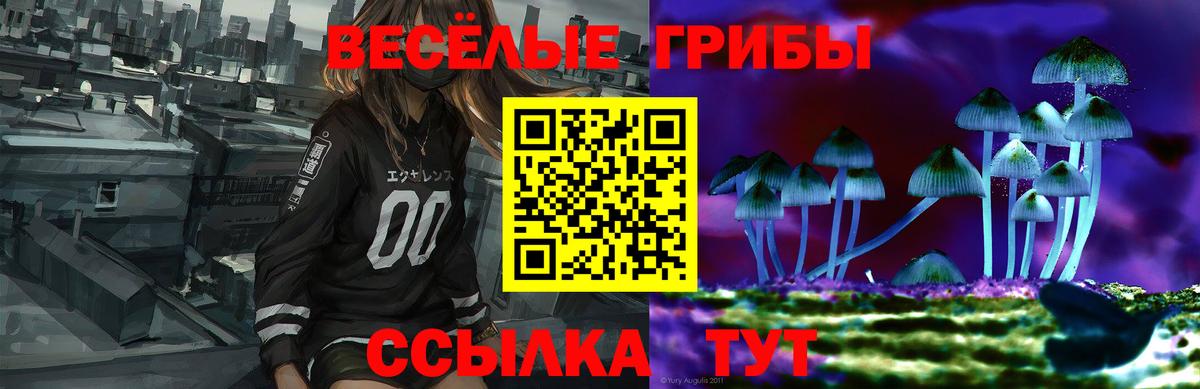 Галлюциногенные грибы мухоморы  Вход с VPN  Кумертау 
